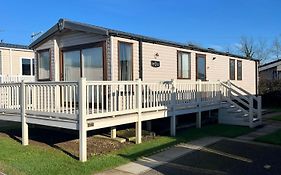 Sunflower 62 Braunton